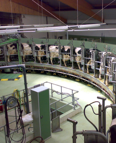 Agricultural & Dairy