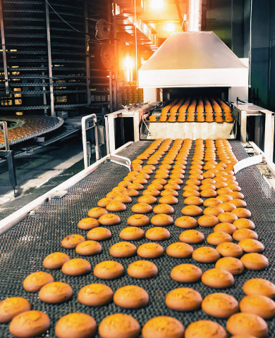 Food Processing Industries